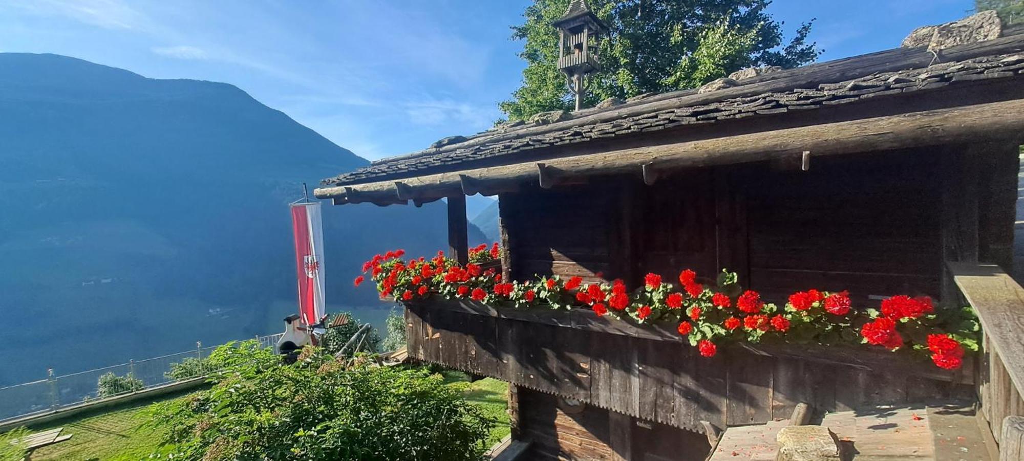 Ferienwohnung Großstahlhof Mountain&Panorama View Ahrntal Exterior foto