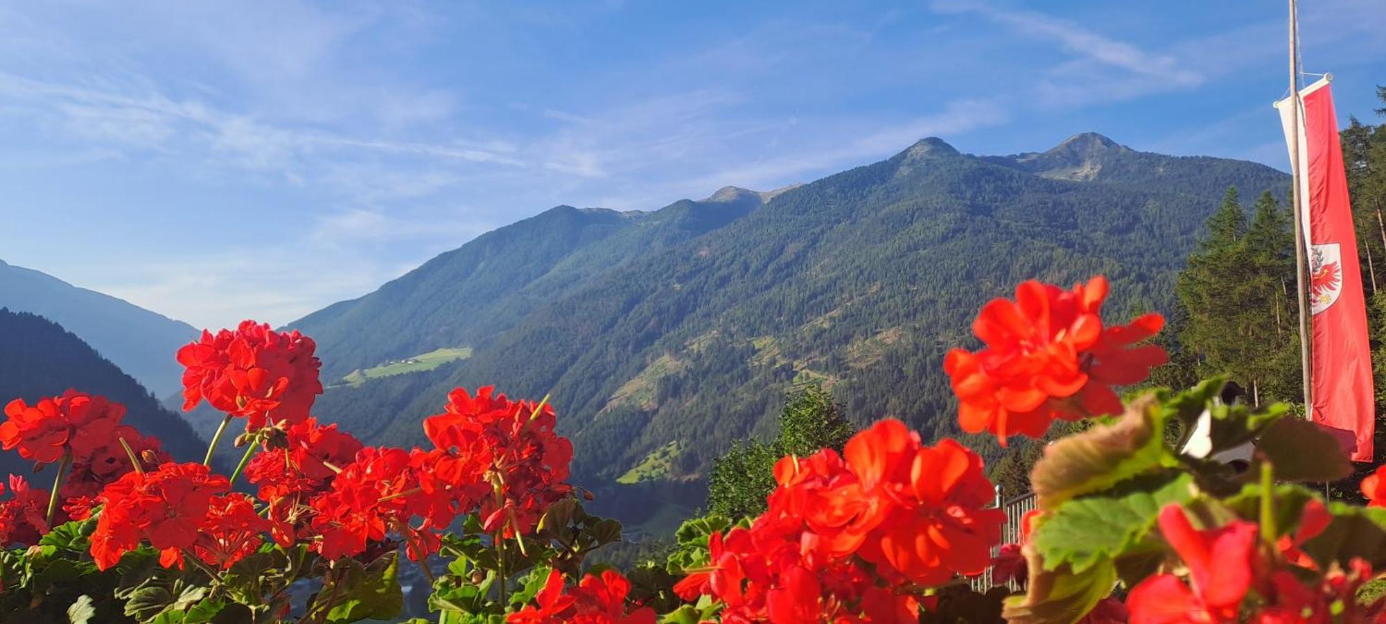 Ferienwohnung Großstahlhof Mountain&Panorama View Ahrntal Exterior foto